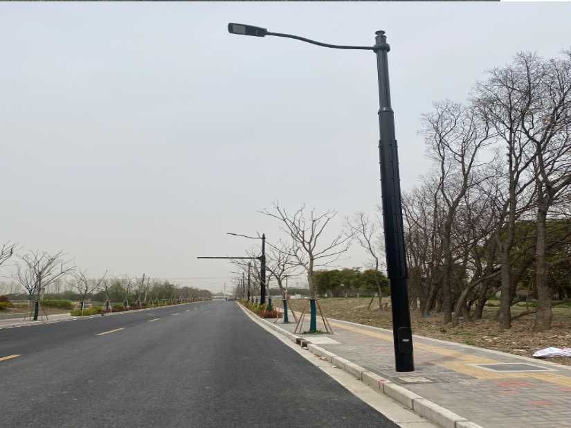 荣县上海综合杆 太阳能路灯工程